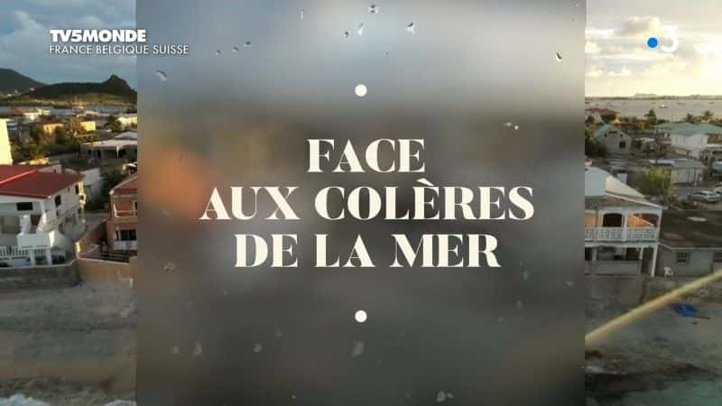 ¼Ƭ Face aux coleres de la merȫ1-Ļ/Ļ