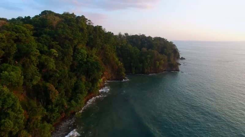 ¼ƬGreat Blue Wildϵ 1  14  ˹ Great Blue Wild: Series 1 Part 14 Costa Rica1080P-Ļ/Ļ