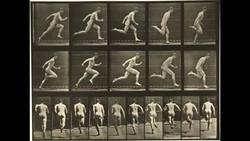 ¼ƬEadweard Muybridge  160 ֶ˶ Eadweard Muybridge's 160 Animal LocomotionsĻ/Ļ