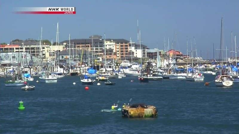 纪录片《海带森林的守护者：海獭 Guardians of the Kelp Forest: Sea Otters》[无字][BT][720P]资源下载