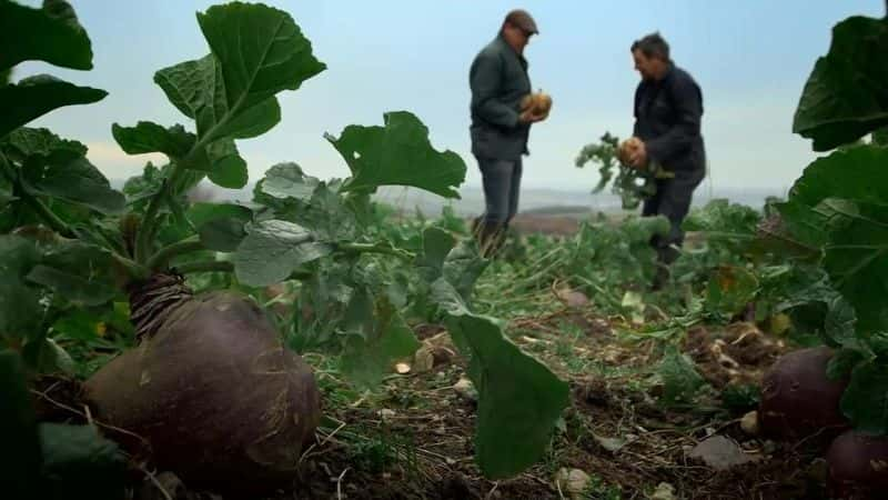 ¼Ƭũʳϵ 1 The Farmer and the Food Chain: Series 1Ļ/Ļ