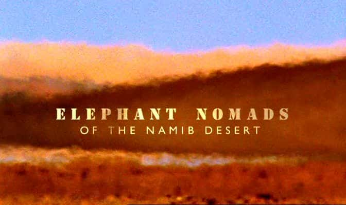 纪录片《纳米布沙漠的大象游牧民族 Elephant Nomads of the Namib Desert》[无字] [BT][DVD画质]资源下载