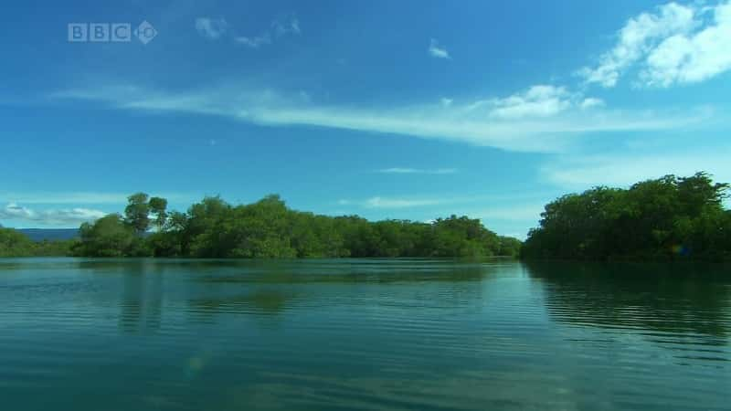 ¼Ƭ˹ȺӢ㲥˾ Galapagos (BBC)ȫ3-Ļ/Ļ