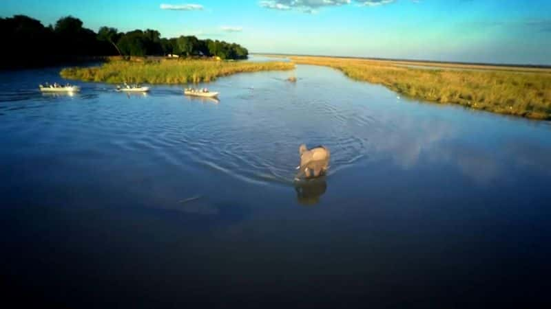 ¼ƬҰˮ򣺴 Earth's Wildest Waters: The Big FishĻ/Ļ