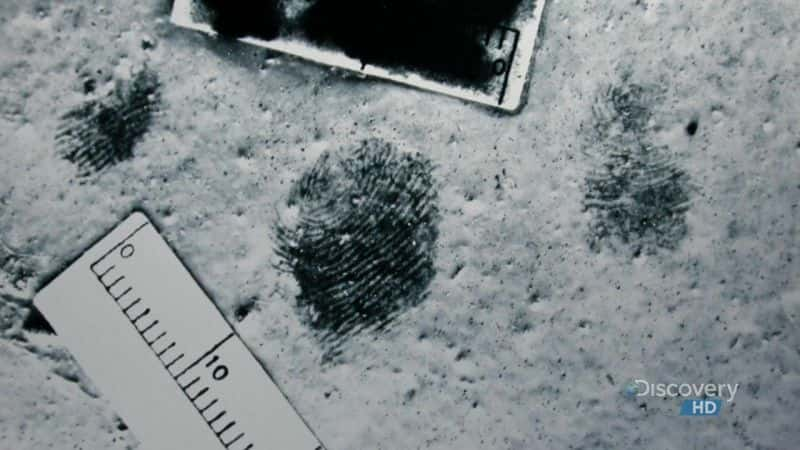 ¼Ƭеķҽ Forensics on TrialĻ/Ļ