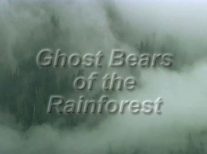 ¼Ƭе Ghost Bears of the Rain Forest720Pȫ1-Ļ/Ļ