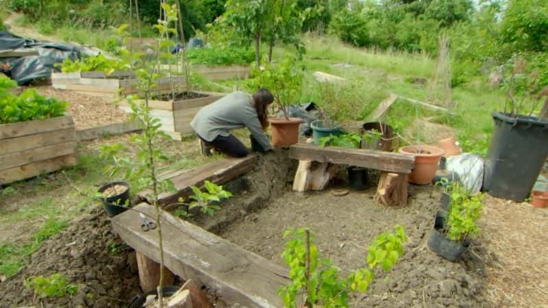 ¼Ƭ԰磺ϵ 51 Gardeners World: Series 51Ļ/Ļ