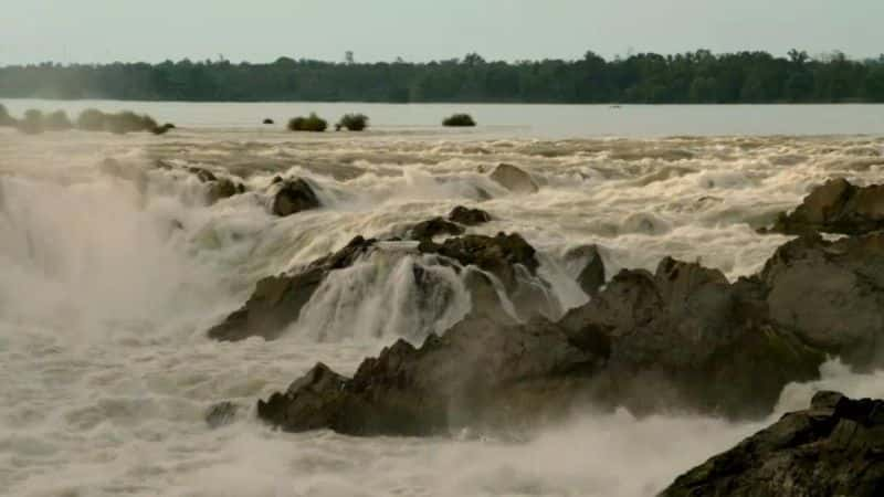 ¼ƬҰˮ򣺴 Earth's Wildest Waters: The Big FishĻ/Ļ