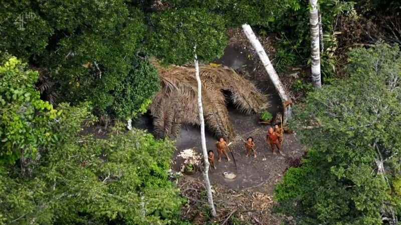 ¼ƬһνӴʧѷ䣨壩 First Contact: Lost Tribe of the Amazon (HD)Ļ/Ļ