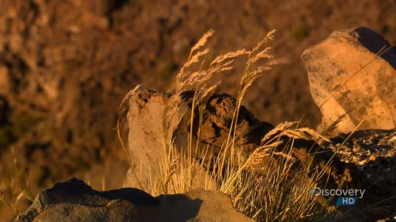 纪录片《哈雷阿卡拉火山口 Haleakala Crater》[无字][BT][720P]资源下载