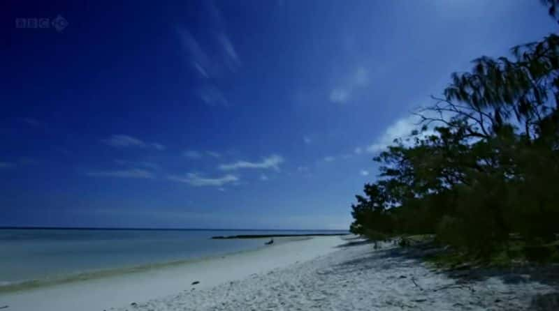 纪录片《大堡礁Great Barrier Reef (BBC)》[无字][BT][1080P]资源下载