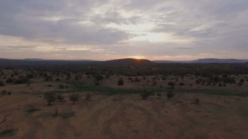 ¼ƬΰĹ԰Hluhluwe-iMfolozi Great Parks of Africa: Hluhluwe-iMfolozi1080P-Ļ/Ļ