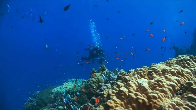 ¼Ƭĺ - ڹлظۿǱˮ Glowing Seas - Diving at Hatshepsut's HarbourĻ/Ļ