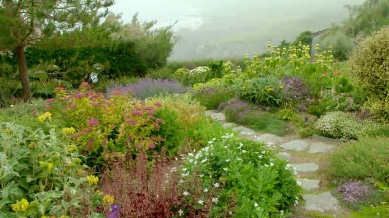 ¼Ƭ԰磺ϵ 51 Gardeners World: Series 51Ļ/Ļ