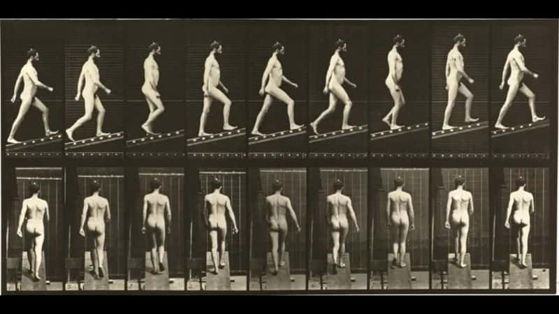 ¼ƬEadweard Muybridge  160 ֶ˶ Eadweard Muybridge's 160 Animal LocomotionsĻ/Ļ