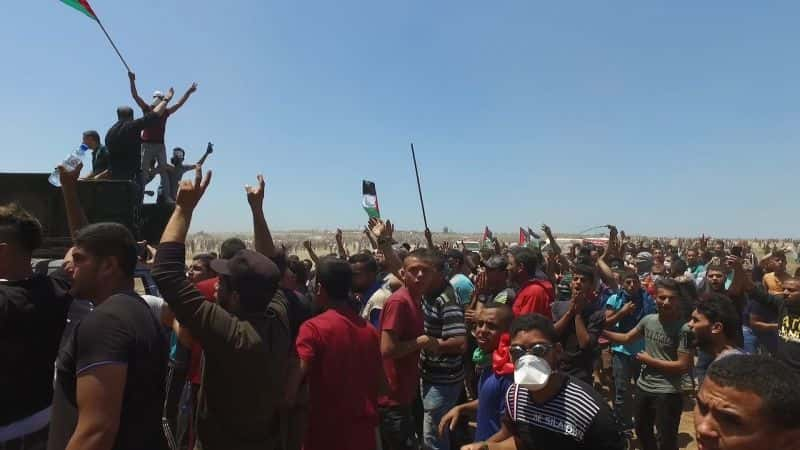 纪录片《加沙为自由而战 Gaza Fights for Freedom》[无字][BT][720P]资源下载