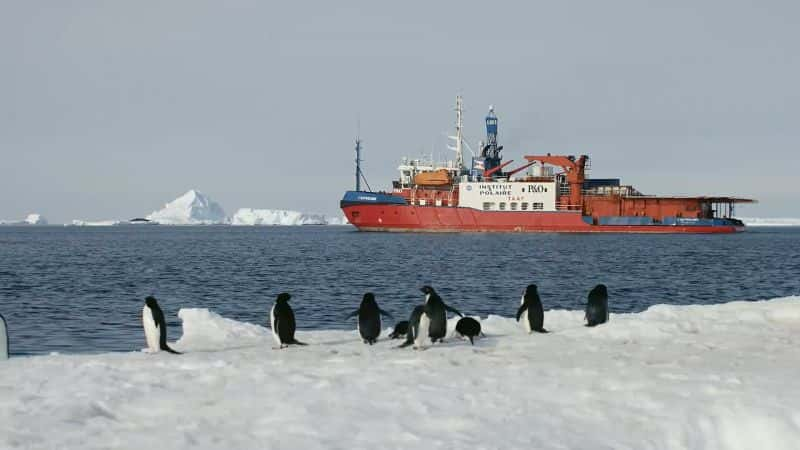 ¼Ƭϼ̽գϵ 1 Expedition Antarctica: Series 11080P-Ļ/Ļ