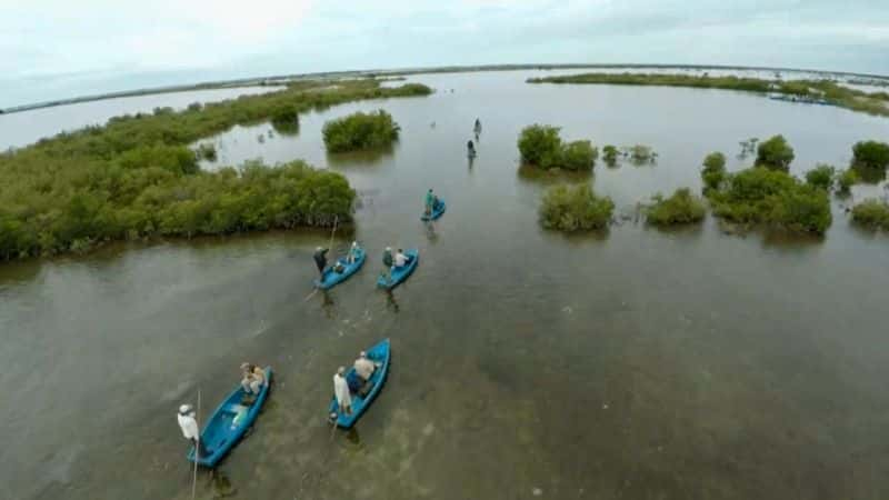 ¼ƬҰˮ򣺴 Earth's Wildest Waters: The Big FishĻ/Ļ