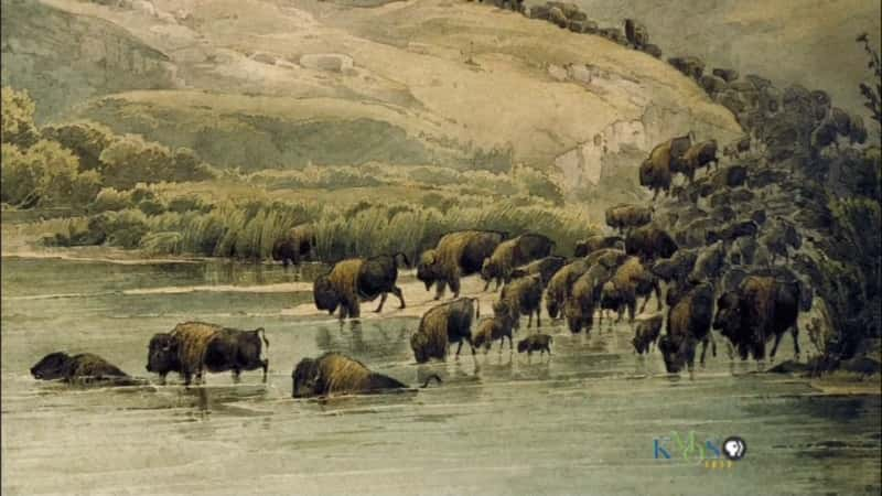 ¼Ƭ˱ӣѱǿ Fort Peck Dam: Taming the Mighty MissouriĻ/Ļ