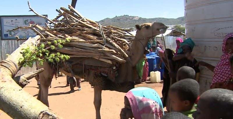 ¼Ƭǣĸ Ethiopia: Racing to ReformĻ/Ļ