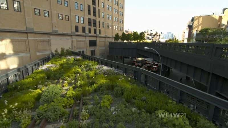 ¼Ƭ˼άŦԼеĸ߹԰ Elevated Thinking: The High Line in New York CityĻ/Ļ