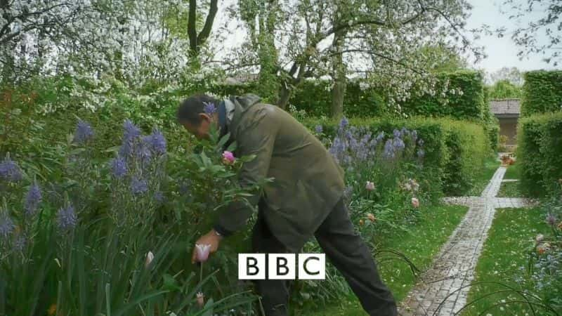 纪录片《园丁世界：系列 53 第 8 部分 Gardeners World: Series 53 Part 8》[无字][BT][720P]资源下载