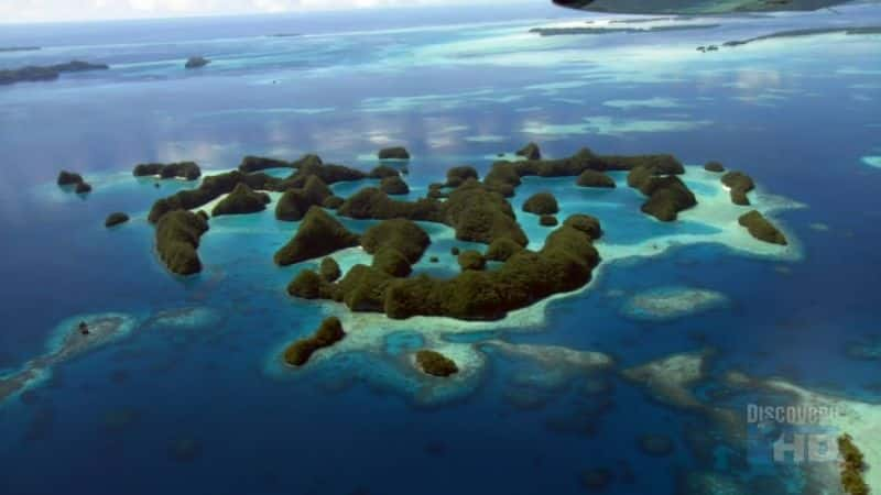 ¼ƬĹ The Floating CemeteryĻ/Ļ