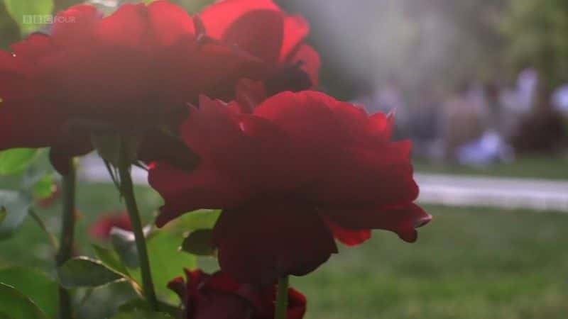 ¼Ƭ԰ The Gardeners of Kabulȫ1-Ļ/Ļ