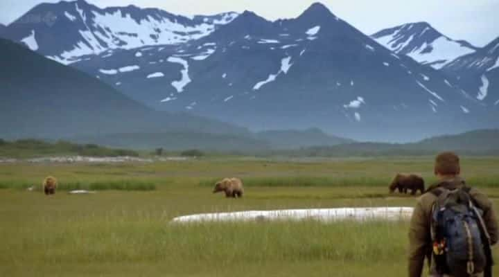 ¼Ƭ˹ӻܶ Grizzlies of Alaskaȫ1-Ļ/Ļ