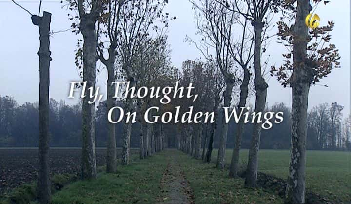 ¼ƬŽɫĳ裬˼룺Verdis Life Fly, Thought, on Golden Wings: Verdis LifeĻ/Ļ