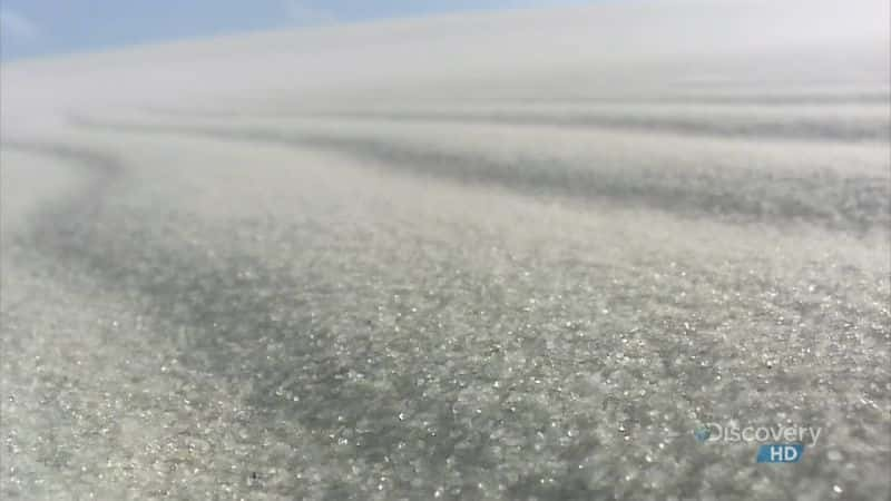 ¼Ƭɳӿ Fish Springing from Sand DunesĻ/Ļ