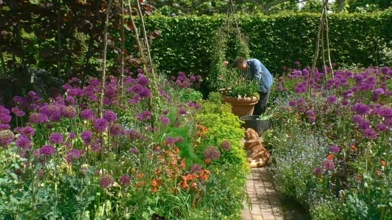 ¼Ƭ԰磺ϵ 53  11  Gardeners World: Series 53 Part 111080P-Ļ/Ļ