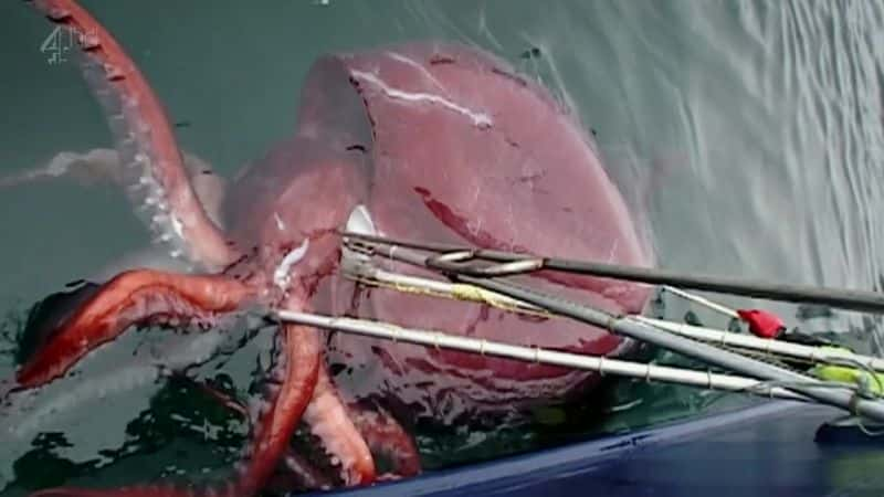 ¼Ƭ£ Giant Squid (Ch4)ȫ1-Ļ/Ļ