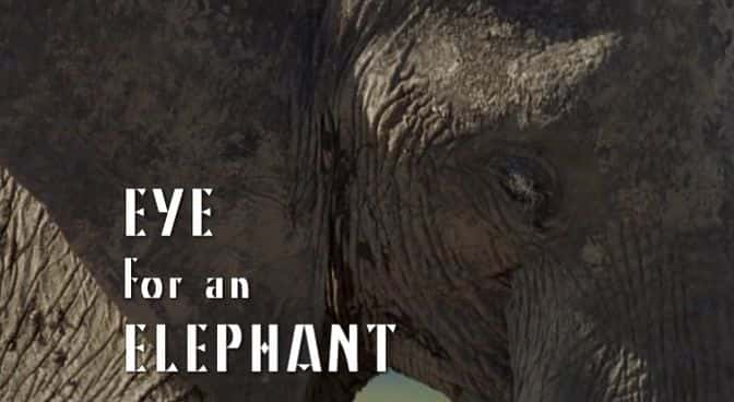 ¼Ƭ֮ Eye for an ElephantĻ/Ļ