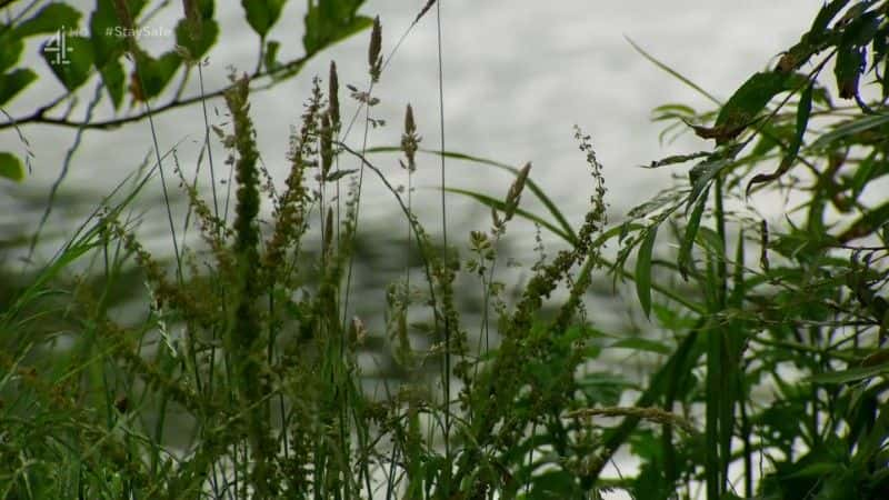 ¼Ƭ˺֮ ʿ Great Canal Journeys Wales and the West Country1080Pȫ1-Ļ/Ļ