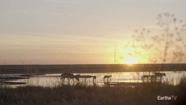 ¼ƬȺ Elena and the Saiga1080Pȫ1-Ļ/Ļ