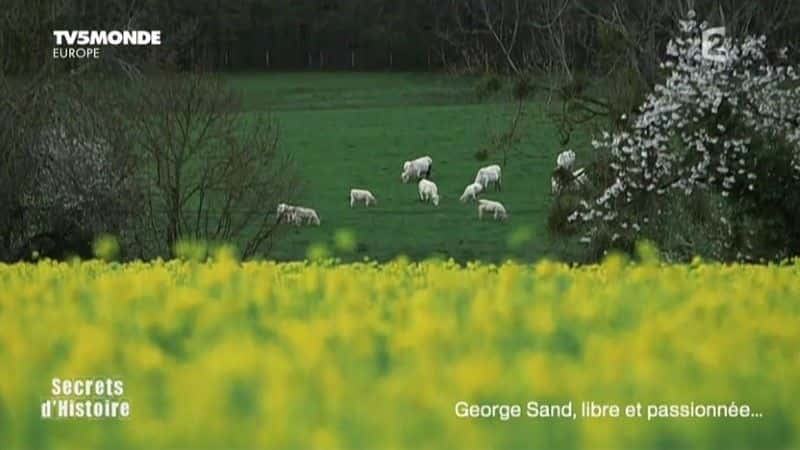 ¼ƬΡɣ뼤 George Sand, libre et passionneeȫ1-Ļ/Ļ