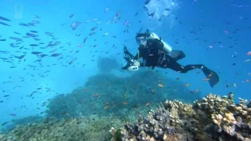 ¼Ƭ󱤽 (NG) Great Barrier Reef (NG)Ļ/Ļ