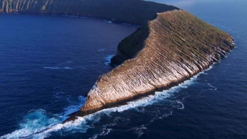 ¼Ƭ˹ȡ Galapagos With Liz Bonninȫ3-Ļ/Ļ