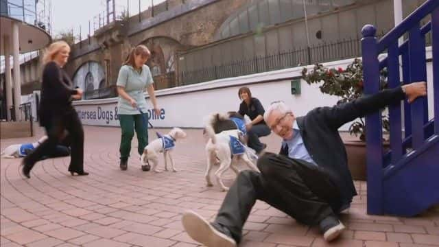 ¼ƬΪ˱ޡ¸׵ϵİ For the Love of Paul O'Grady1080Pȫ1-Ļ/Ļ