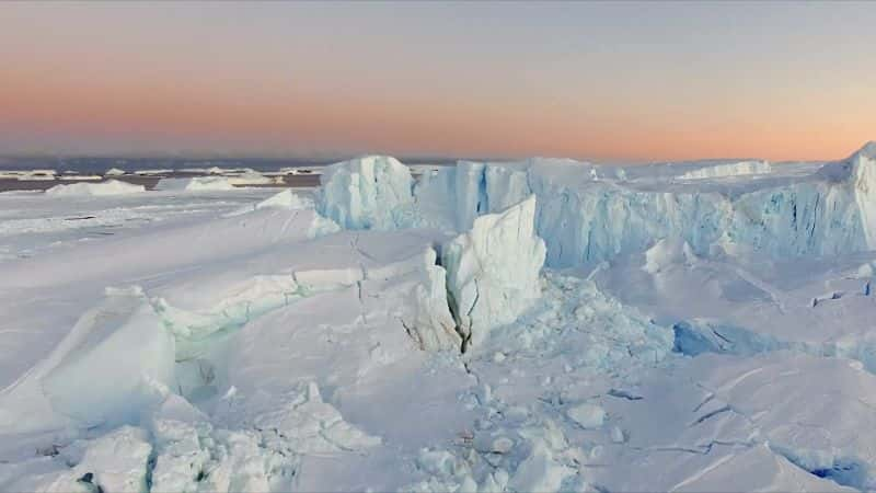 ¼Ƭϼ̽գϵ 1 Expedition Antarctica: Series 11080P-Ļ/Ļ