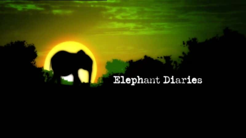 纪录片《大象日记 1080i Elephant Diaries 1080i》[无字][BT][720P]资源下载