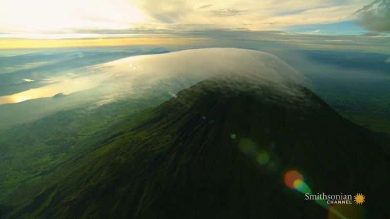 ¼Ƭ Gorillas of Gabon1080Pȫ1-Ļ/Ļ