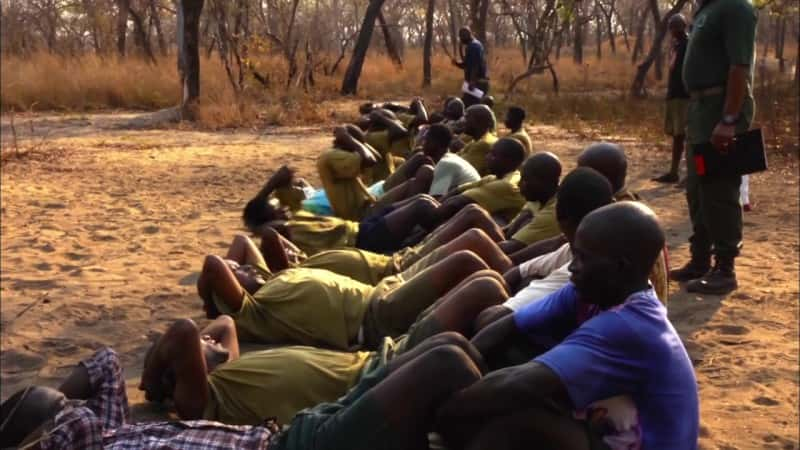 ¼Ƭ԰õ Gorongosa Park: Rebirth of ParadiseĻ/Ļ