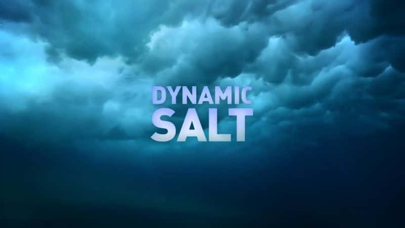 ¼Ƭ̬ Dynamic SaltĻ/Ļ