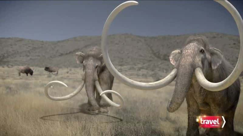 ¼Ƭδ֪̽գϵ 3 ¡ Expedition Unknown: Series 3 Cloning the Woolly MammothĻ/Ļ