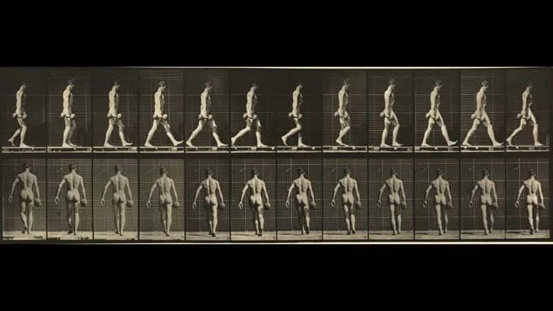 ¼ƬEadweard Muybridge  160 ֶ˶ Eadweard Muybridge's 160 Animal LocomotionsĻ/Ļ