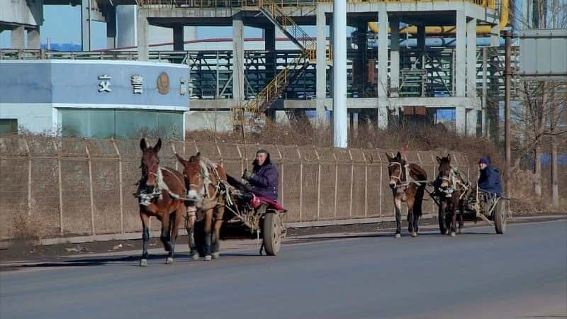 ¼Ƭй The Great Chinese Crashȫ1-Ļ/Ļ