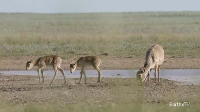 ¼ƬȺ Elena and the Saiga1080Pȫ1-Ļ/Ļ