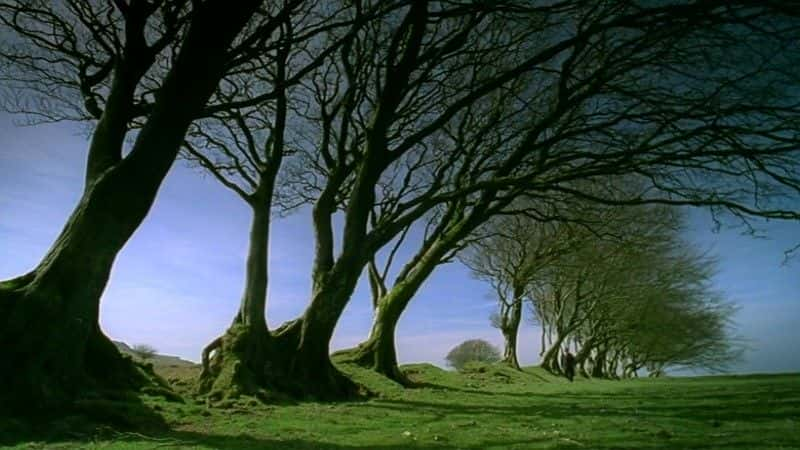 ¼Ƭʥߣ¶һ (BBC) Earth Pilgrim: A Year on Dartmoor (BBC)ȫ1-Ļ/Ļ